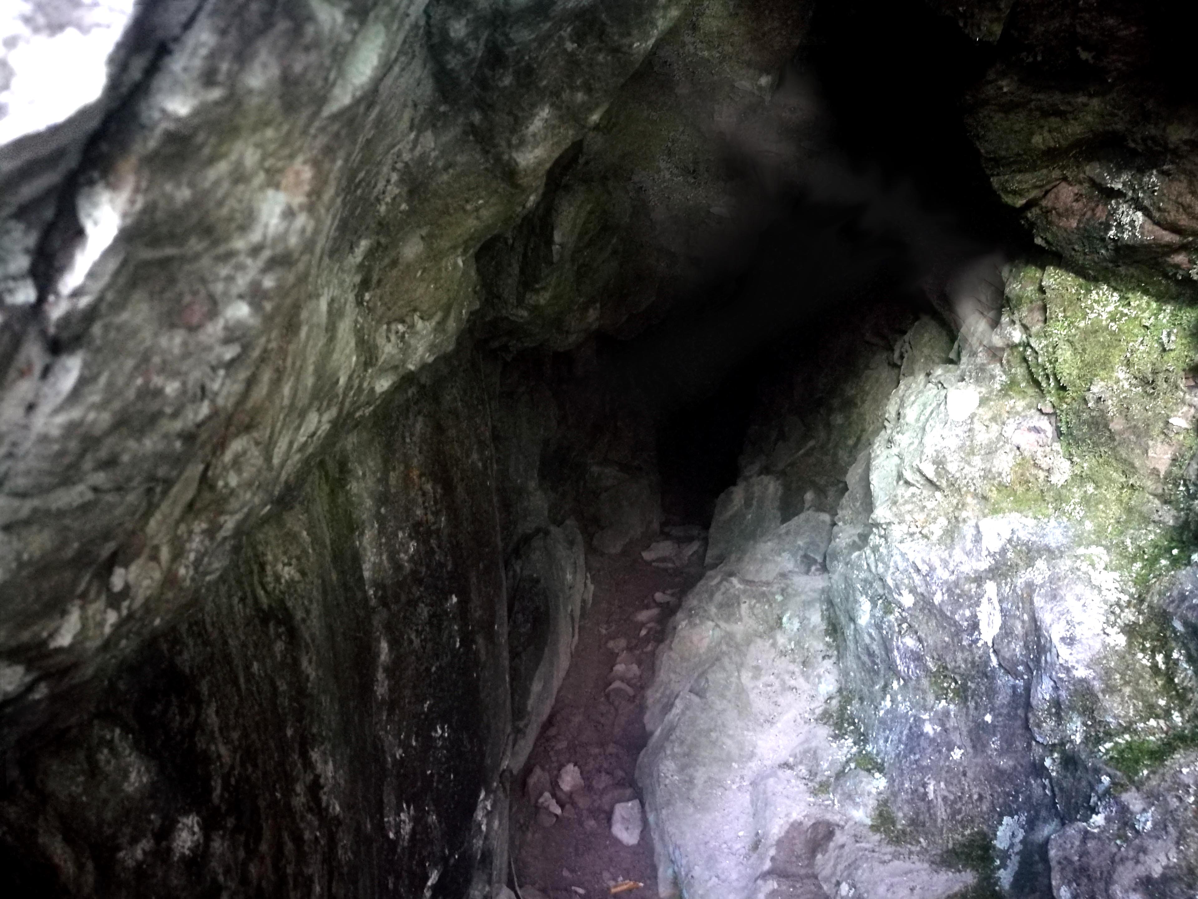 Manipulert Ellemitthølet