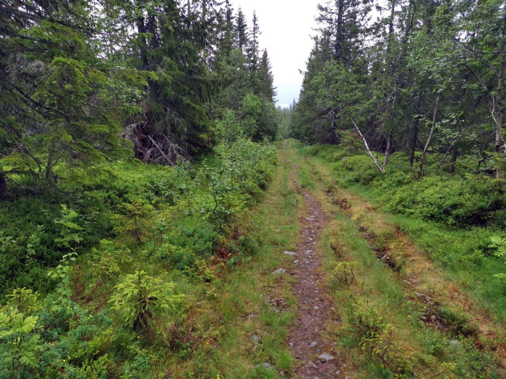 På vei nedover på det som trolig er Gamle Nordhuevei.