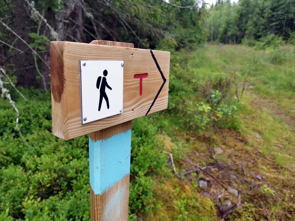 Skogsveien møter grusvei: Her er det en snuplass, og et skilt som peker retningen opp til Nordhue.