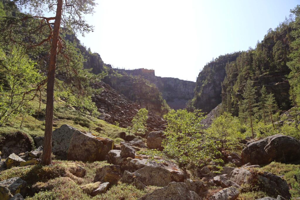 Jutulhogget på sitt vakreste - badet i sommerens varme sollys.