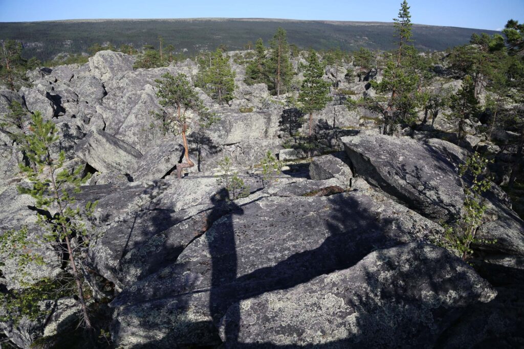 TOPPTUR: Barkaldkjølen ligger på kanten av Jutulhogget, og er definert som en av de høyeste toppene på kanten av stupet. Du trenger ikke gå ned i juvet for å finne hauger med stein, også oppe på kanin er terrenget steinlagt.