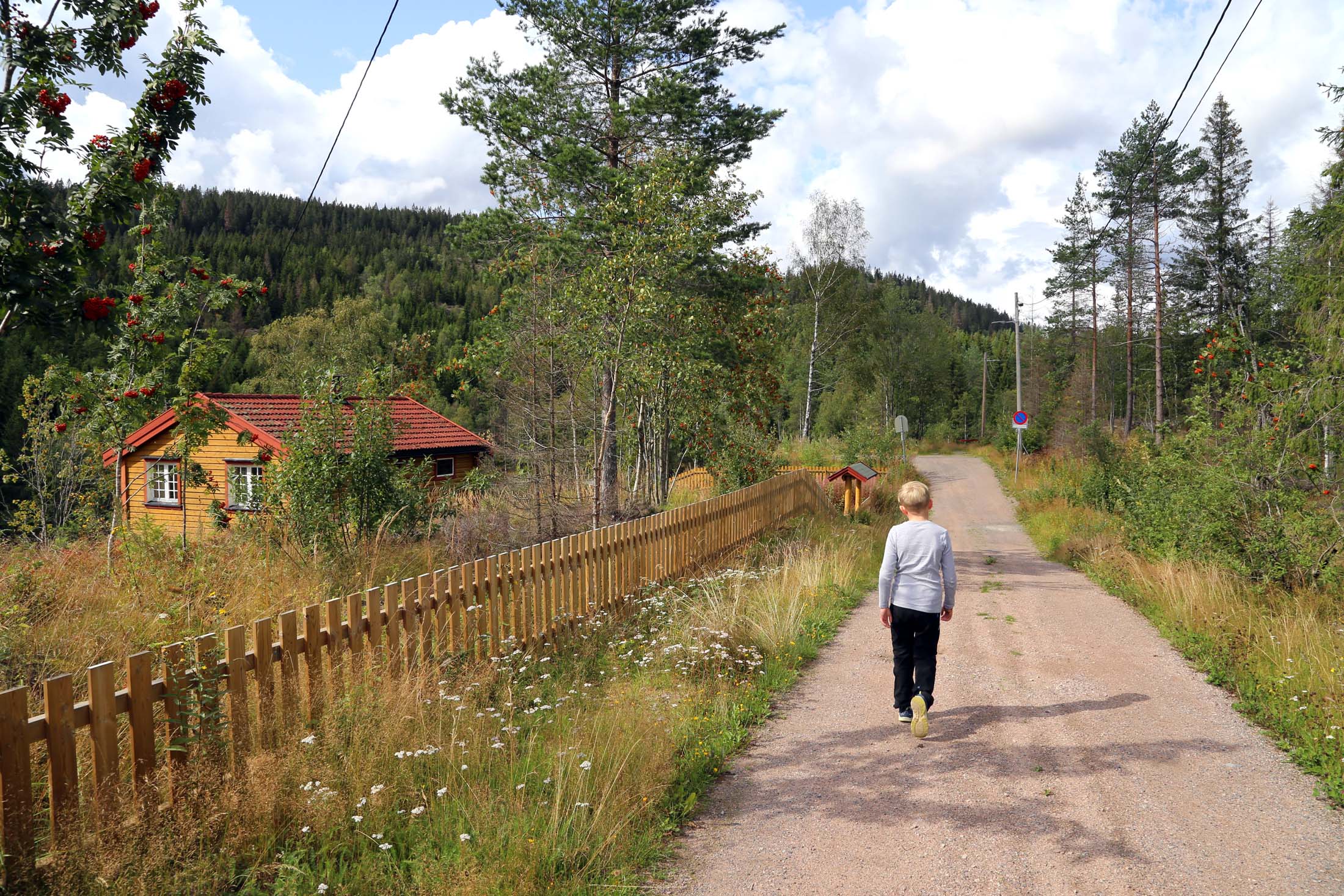 På vei innover grusveien og i retning marka.