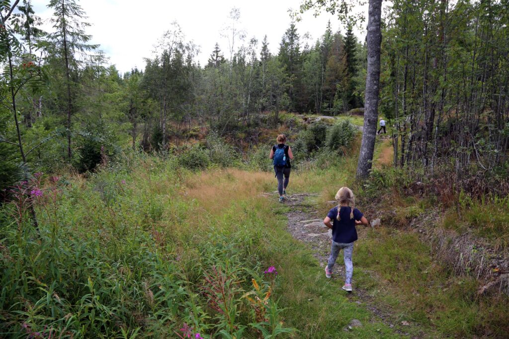 Rett før snuplassen i enden av grusveien går turen til venstre på sti, ganske snart videre på sti til høyre.