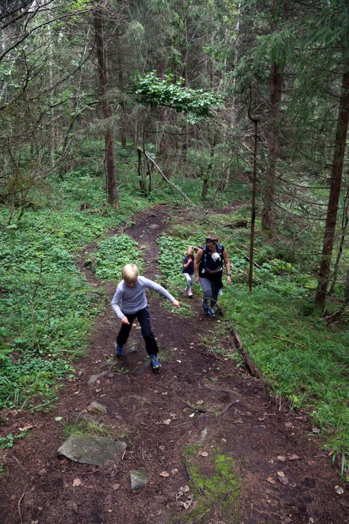 Første del innover i skogen, på tydelig og fin sti.