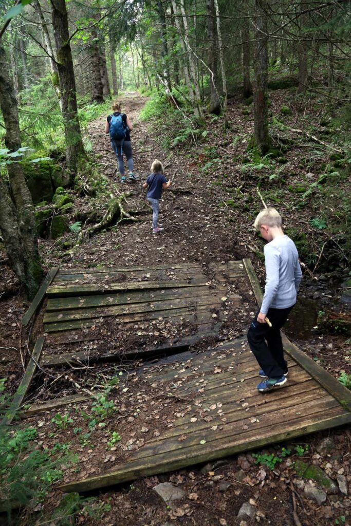 Brokollaps: På vei over ødelagt bro, først sjekket av 9-åringen, før vi andre kunne slippe over. Her er vi allerede på villspor.