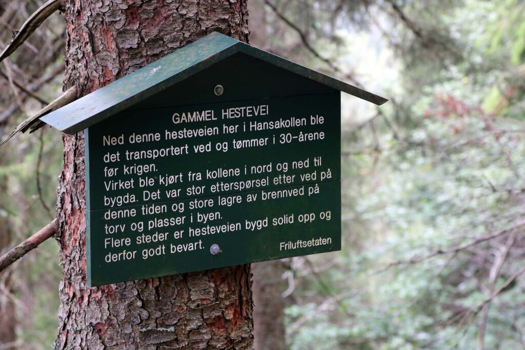 Informasjon fra Friluftsetaten om opprinnelsen og bruken av hesteveien i Maridalsalpene.