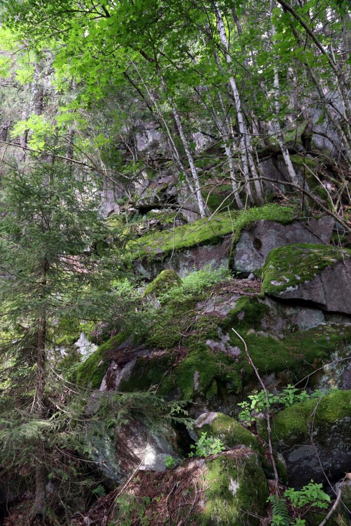 Fjellveggene er overraskende bratte i området ved Hansakollen.