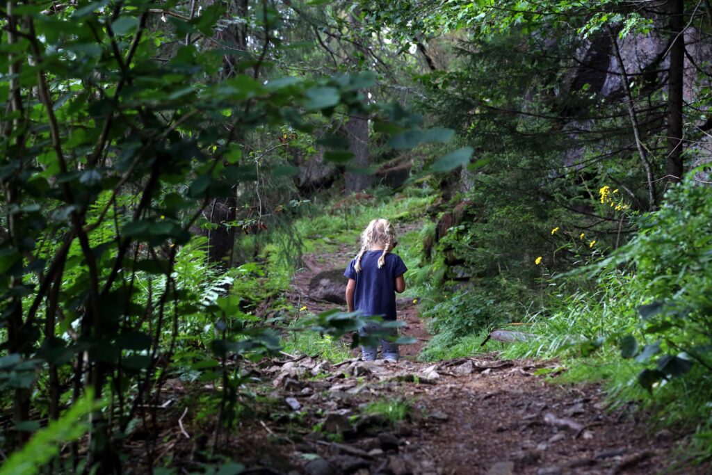 Vi lot oss imponere av den forseggjorte hesteveien, og fortsatte på villspor.