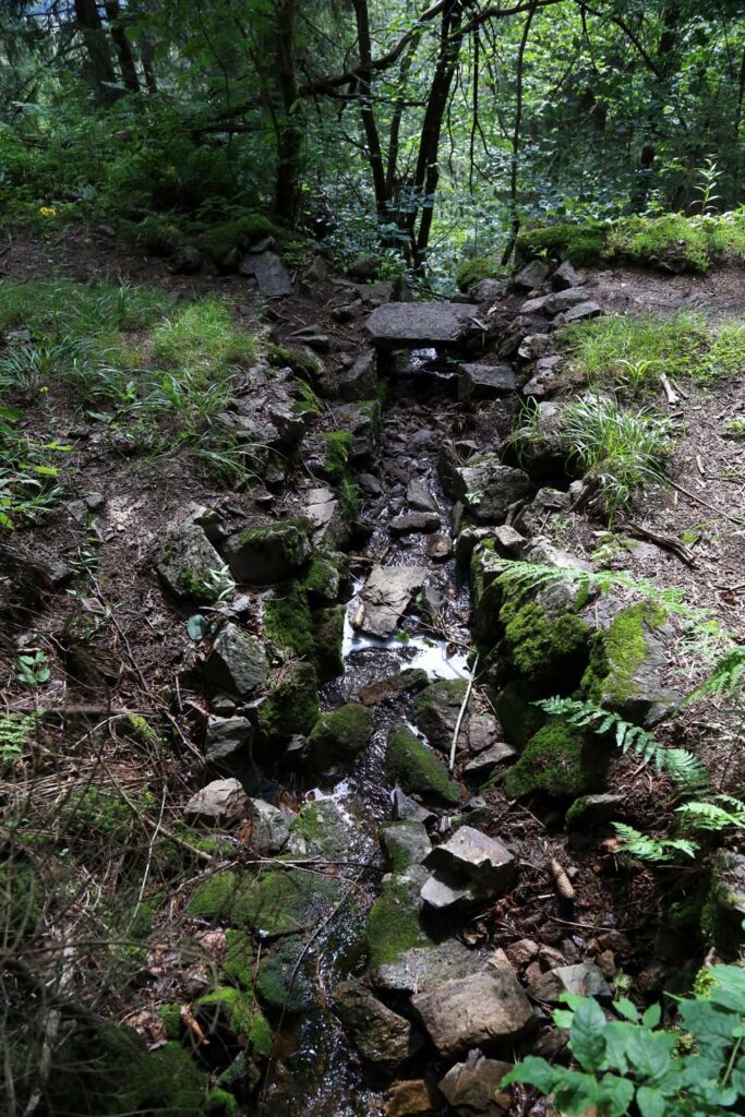 Vi lot oss imponere av den forseggjorte hesteveien, og fortsatte på villspor.