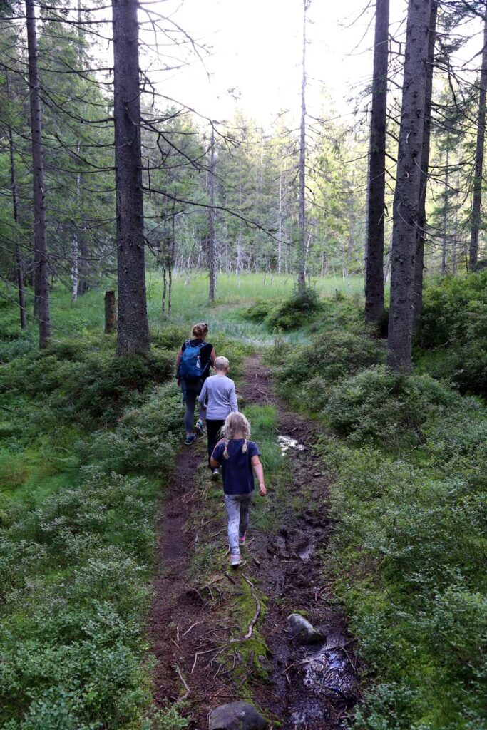 Myra før vraket: Stien passerer til høyre for myra, og på andre siden ligger vrakdelene.