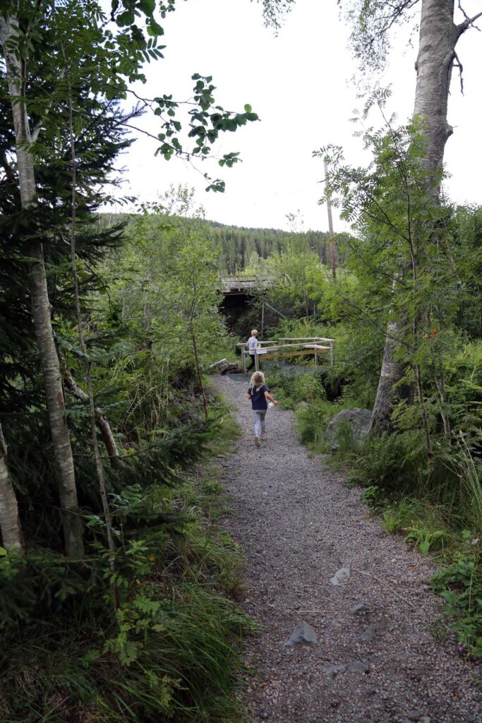 På vei til badeplassen merket Venice Beach, et steinkast fra Movatn stasjon.