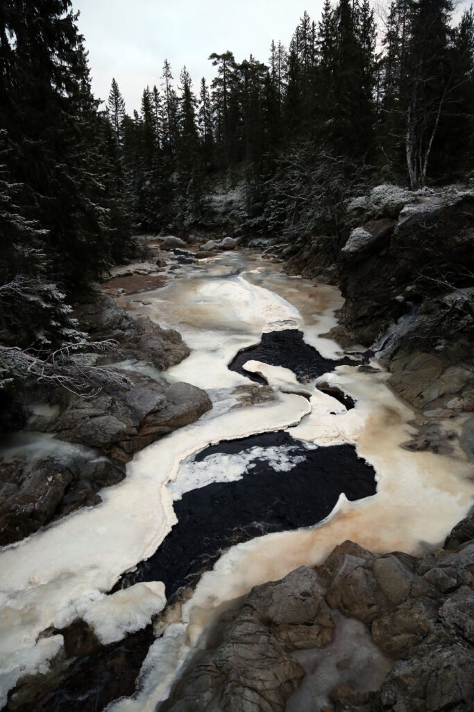 VINTER: Det er vakkert ved Korpreiret om vinteren. Bildet er tatt i november, før snøen har lagt seg. Dette er i øvre del av Korpreiret, ved utgangspunktet for rundturen. Når isen legger seg anbefales det ikke å ta seg ned i juvet, eller følge stiene som går ut og ned mot kanten av juvet.