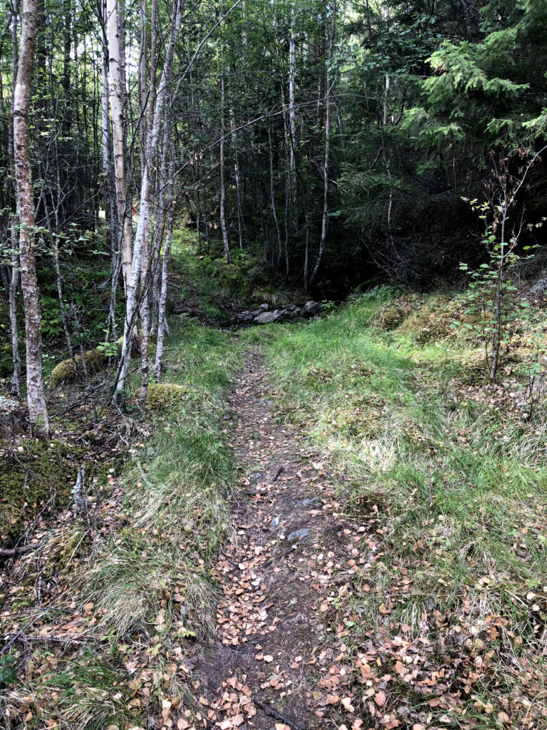 Første del er fin sti.