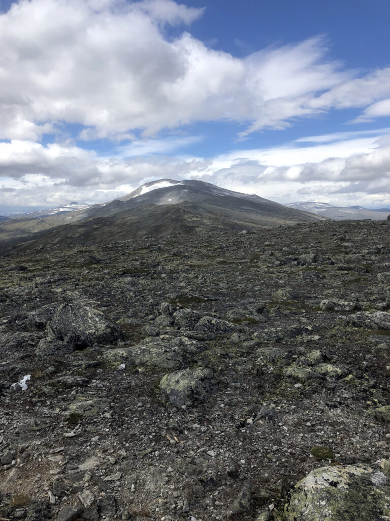 Steinete terreng innover og oppover.