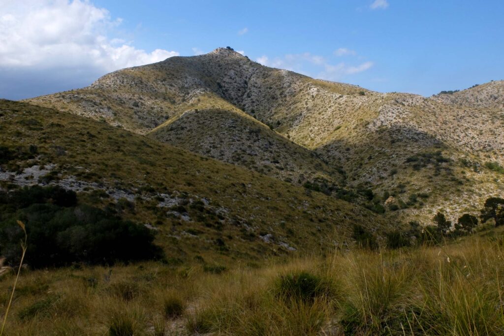 Målet: Toppen med brannvokterens hytte.