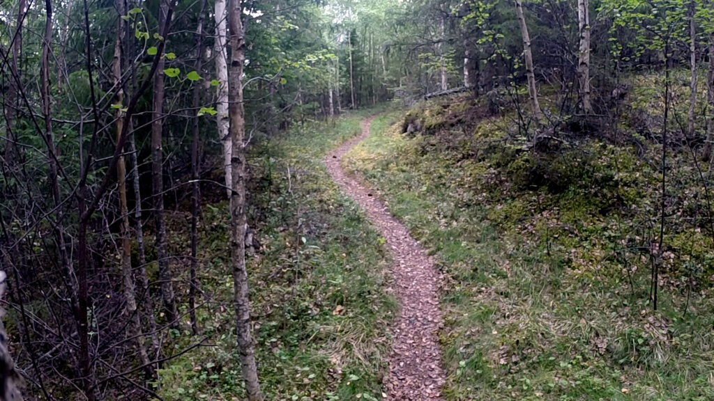 Første del er fin sti.
