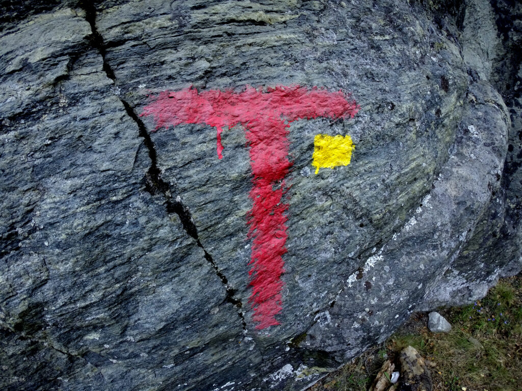 Første del av turen er merket med røde T-er.