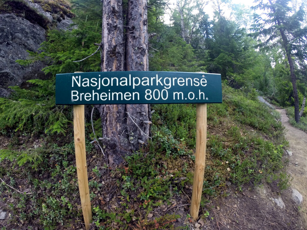 Breheimen nasjonalpark. 800 meter over havet.