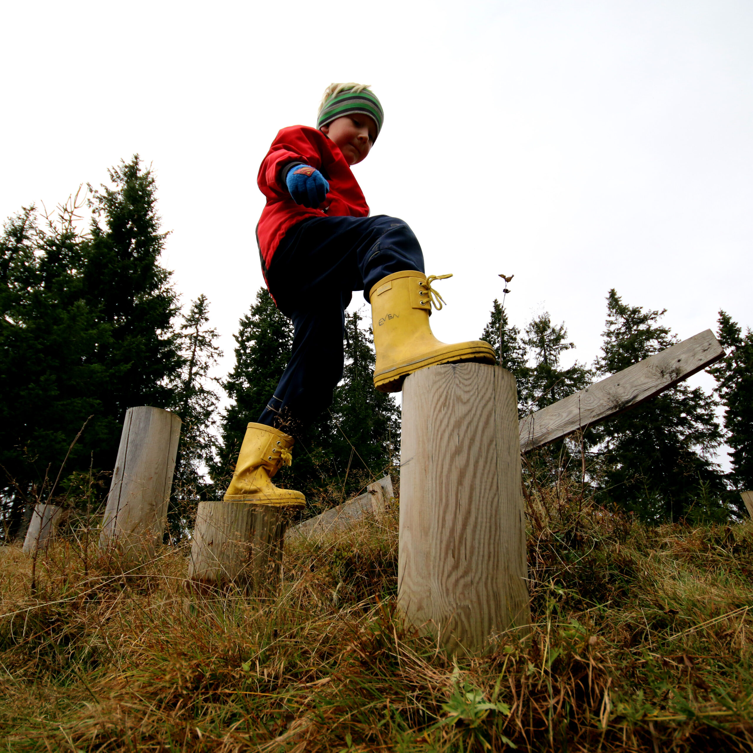 Balanser på steiner eller stubber.