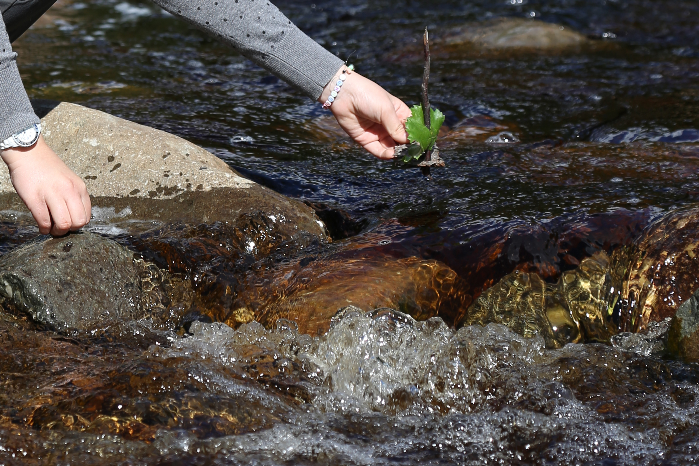 Barkebåt med mast og seil.