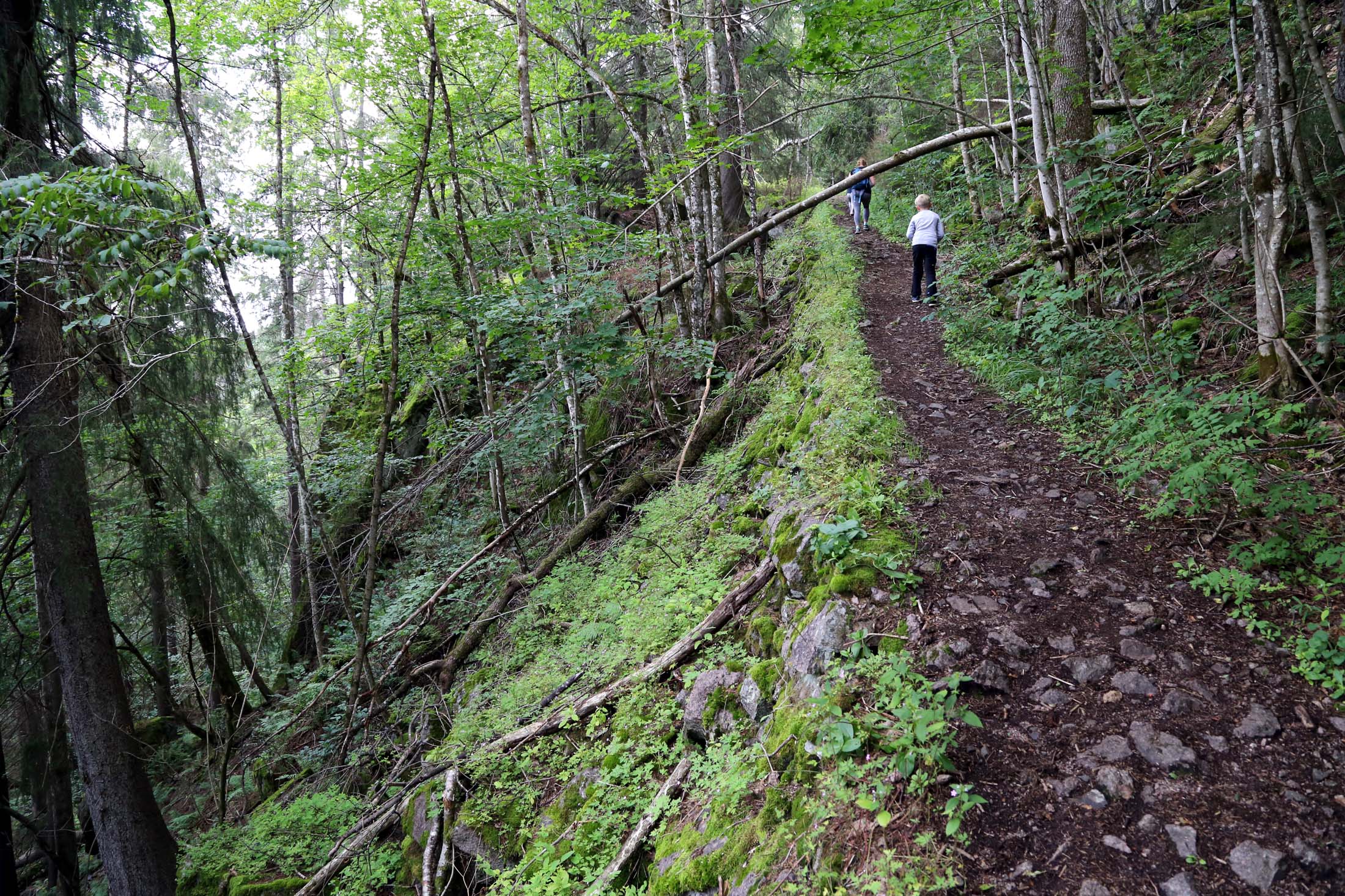 Hesteveien ved Hansakollen, et imponerende stykke arbeid.